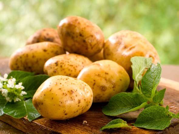 лечение миомы картофельным соком